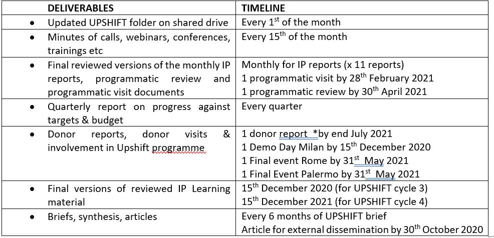 Local individual contractor (home-based): UPSHIFT Programme Consultant,  Italy ( 11.5 months)