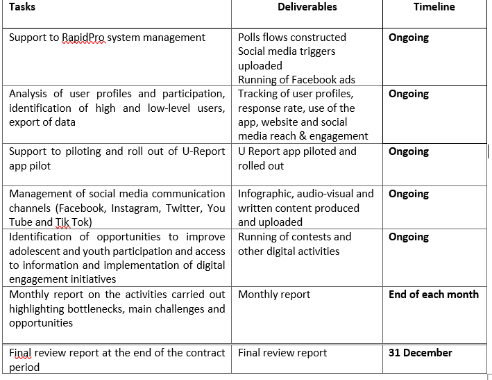 Home-based local consultancy: U-Report Digital Mobilizer (Innovation for Social Inclusion and U-Report on the Move), Rome, Italy (until 31 December 2021)