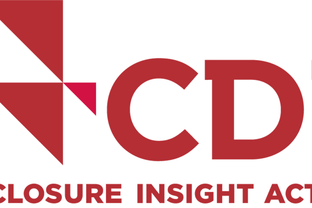 Capital markets project officer