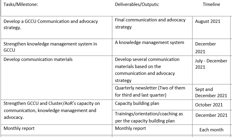 Home-based consultancy: Communication and Advocacy consultant  (6 months)