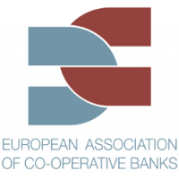 (Senior) Adviser Payment Systems