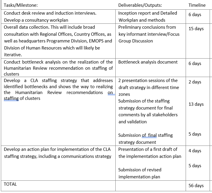 Home-based consultancy to develop a Cluster Lead Agency Staffing Strategy (56 days)