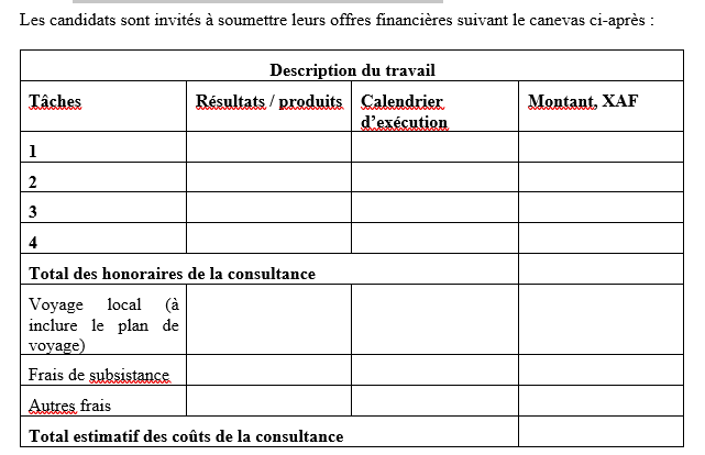 Consultant national pour élaborer les plans de mise en œuvre des activités d’appui aux structures éducatives (préscolaire, EAE, CEBNF, CFP) dans les provinces du Lac et du Logone Oriental