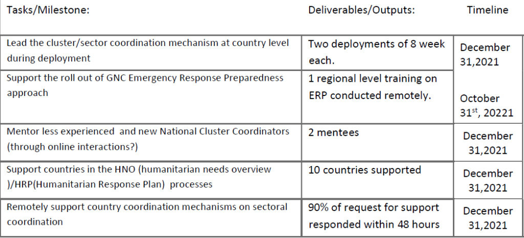 Home-based with travel (70%): Rapid Response Team Nutrition Cluster Coordinator (until 31 December 2021)