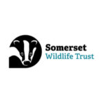 Somerset Wildlife Trust (First Ecology)